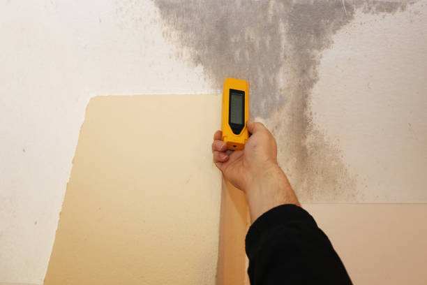 Best Dehumidification Services  in Parkersburg, WV