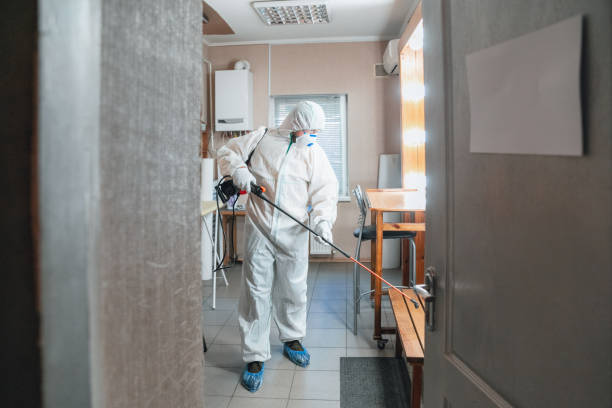 Professional Mold Removal in Parkersburg, WV