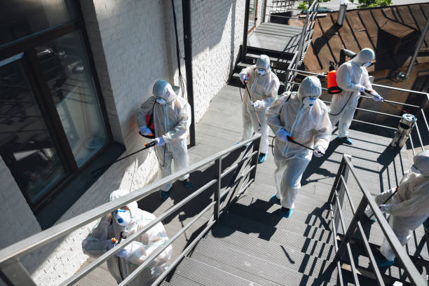 Best Commercial Mold Inspection  in Parkersburg, WV