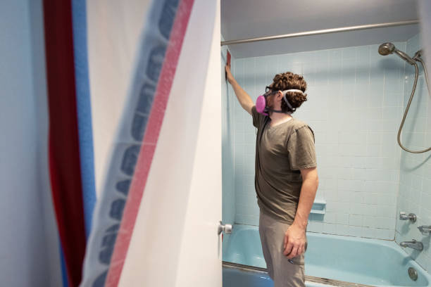 Best Basement Mold Removal  in Parkersburg, WV