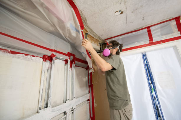Best Comprehensive Air Testing for Mold Contaminants  in Parkersburg, WV