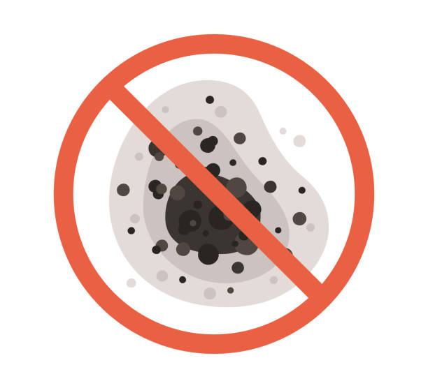 Best Environmental Consulting for Mold Prevention  in Parkersburg, WV