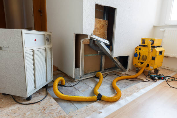 Best Mold Damage Restoration  in Parkersburg, WV
